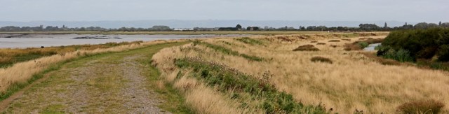  Steart across the River Parrett, Ruth walking the Somerset coast