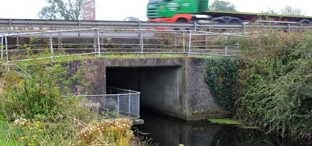  public footpath under M5, near Wick St Lawrence, Ruth Livingstone