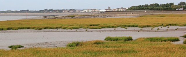 Burnham on Sea, from bank of river, Ruth walking the coast of Somerset