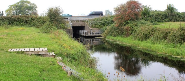 other side of the M5, Ruth trying to walk in north Somerset