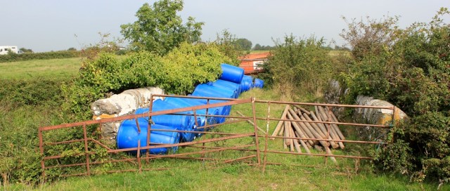blocked bridge, Ruth trying to walk to Kingston Seymour, Olbridge River