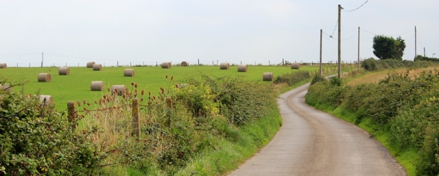 country lanes, Somerset, Ruth walking around the coast