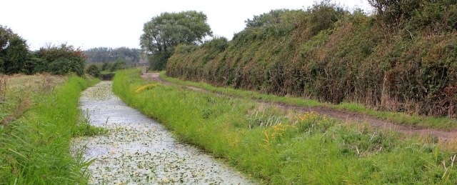 Elmsley Lane, Ruth walking the coast in Kewstoke, Somerset