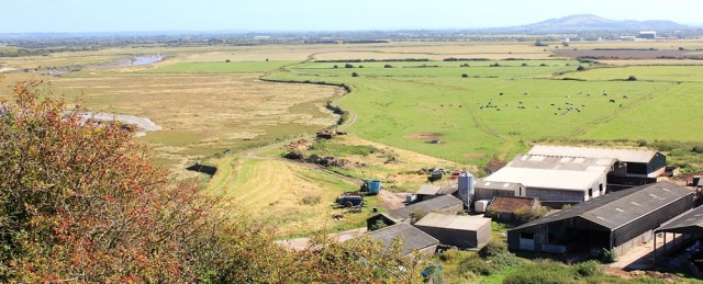  looking down at River Axe, Ruth on Brean Down, Somerset