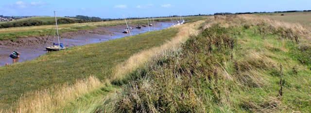 overgrown bank, River Axe, Ruth walking in Somerset