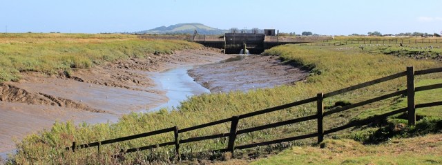 approaching sluice gate, River Axe, Ruth in Somerset