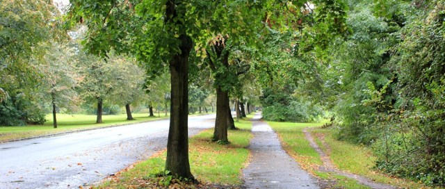 Clifton Down, Ruth walking through Bristol