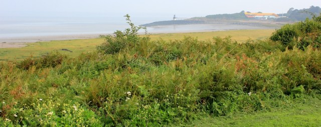 View across Kilkenny Bay, Portishead, Ruth walking the coast