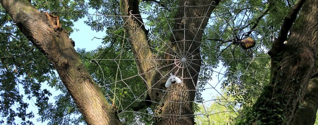 Giant spider, Bulwark Woods, Ruth Livingstone walking in Chepstow