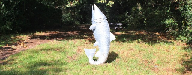  Giant fish, Bulwark Woods, Ruth walking in Chepstow