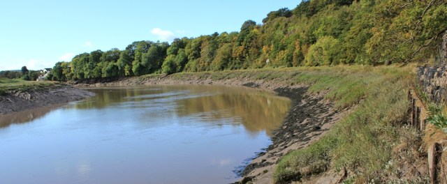 I run out of river bank, Ruth walking up the River Avon