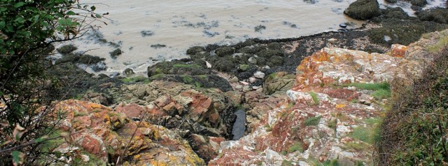 14 colourful rocks, walking to Portishead, Ruth in north Somerset