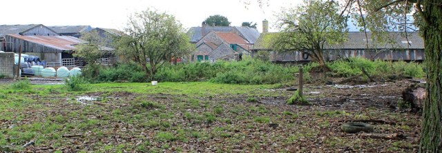  muddy farmland, Ruth approaching Mathern