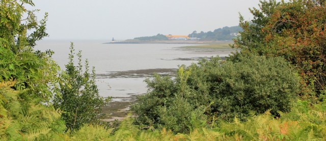 22 over the bay to Portishead Point, Ruth walking the Somerset coast
