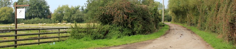 header, Ruth Livingstone in Kingston Seymour, Clevedon