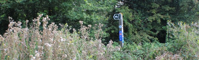 b03 cycle way to Portbury Dock, Sheepway, Ruth walking the Somerset Coast