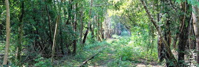 b07 railway track to nowhere, Ruth walking the coast