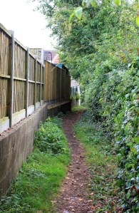 Offa's Dyke Way 2, Ruth Livingstone