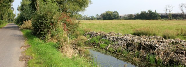 b15 Ruth walking through Kingston Seymour