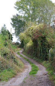 more of Offa's Dyke Way, Ruth walking