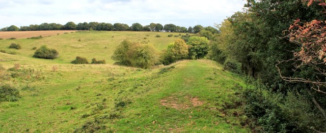 b17 Offa's Dyke through fields, Ruth walking