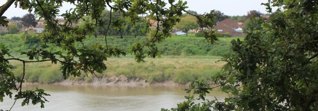 b18 glimpse of River Avon through trees, Ruth walking from Pill to Bristol