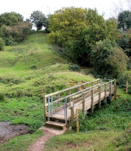 the last stretch, Ruth walking to the end of Offa's Dyke
