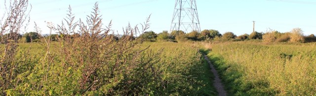 b21 pylon walking, Ruth near Caldicot, Wales Coast Path