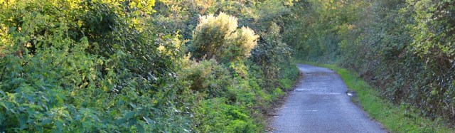b22 endless track, Ruth walking on Rogiet Moor, Wales Coast Path