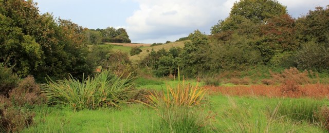 b22 Ruth walking back through fields, to Beachley Road
