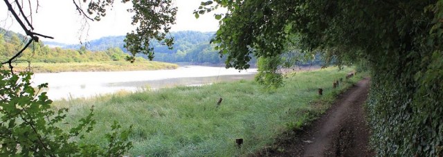 c01 The River Avon Trail, Ruth's coastal walk