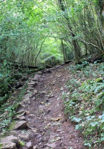 c04 steep hill up Nightingale Valley, Ruth in Leigh Woods