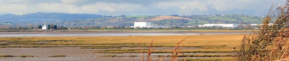 header, view from Newport Wetlands, Ruth Livingstone