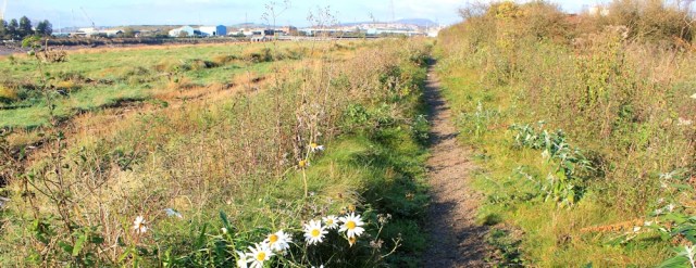  River Usk, Wales Coast Path, Ruth walking in Newport