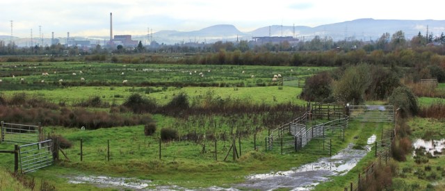 sodden countryside, walking towards Newport, Ruth on the Wales Coast Path