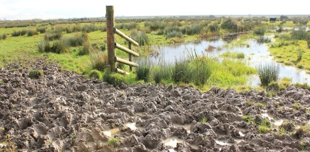 Welsh mud, Ruth on her coastal walk, near Newport