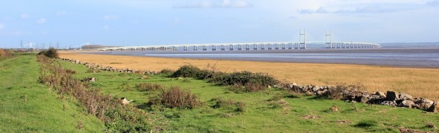  estuary bank and view of Severn Crossing, Ruth on Wales Coast Path