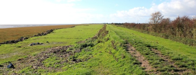 Wales Coast Path along Roggiett Moor Reen, Ruth's coastal walk