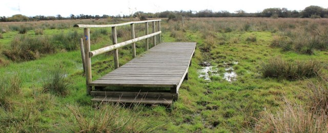  footbridges through boggy fields, Ruth walking the Wales Coast Path