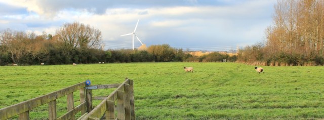 across fields Solutia nature reserve, Ruth walking the Wales Coast Path, Newport