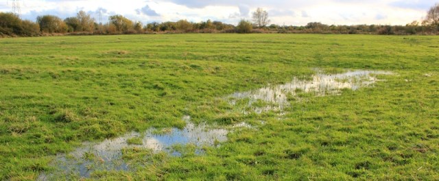  Ruth walking through waterlogged fields, Wales Coast Path, near Pye Corner