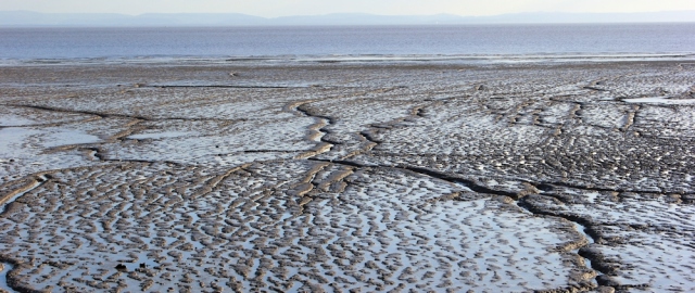 mud on banks of Severn, Ruth's coastal walk
