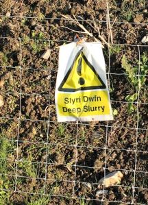 deep slurry warning, Ruth on Wales Coast Path