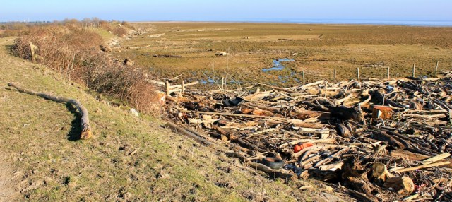03 driftwood and rubbish on shoreline, Ruth walking the Wales Coast Path