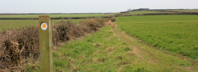 21 Wales Coast Path, across fields, Ruth Livingstone