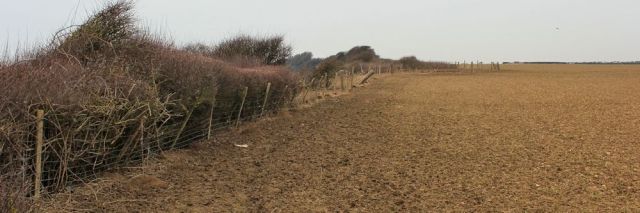23 boring field walking, Ruth on the Wales Coast Path