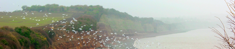 near Penarth, Ruth Livingstone
