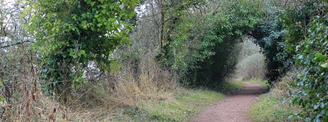 b07 through bushes to Lavernock, Ruth on Wales Coast Path