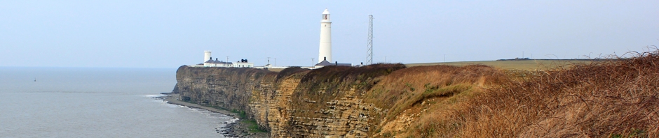 header, Nash Point, Ruth Livingstone