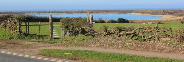 02 view over Kenfig Dunes from Mawdlam, Ruth walking in South Wales